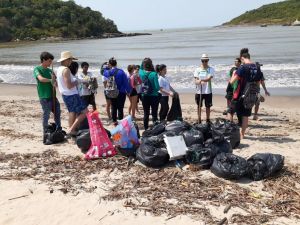 nea-world-clean-up-day