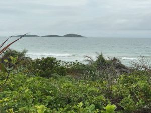 visita-parque-estadual-paulo-cesar-alunos-licenciatura